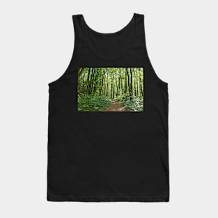 Deciduous forest in the summer Tank Top